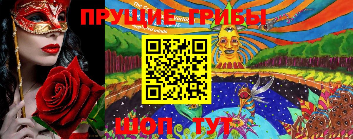 Дербент  Псилоцибиновые грибы MAGIC MUSHROOMS  сколько стоит  Вход с VPN 